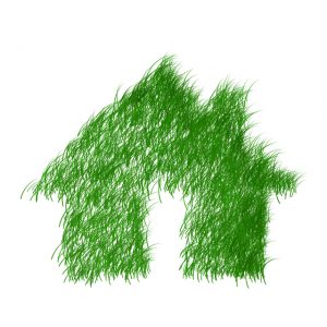 green house spray foam insulation can reduce energy consumption 