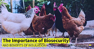 The Importance of Biosecurity and the Benefits of Insulation