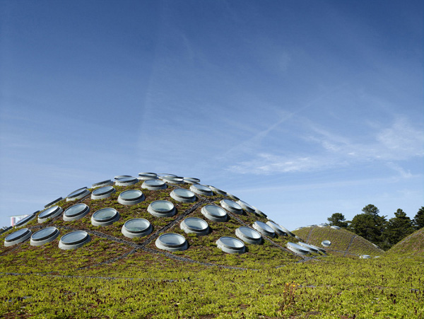 California-Academy-of-Sciences-by-Renzo-Piano-1