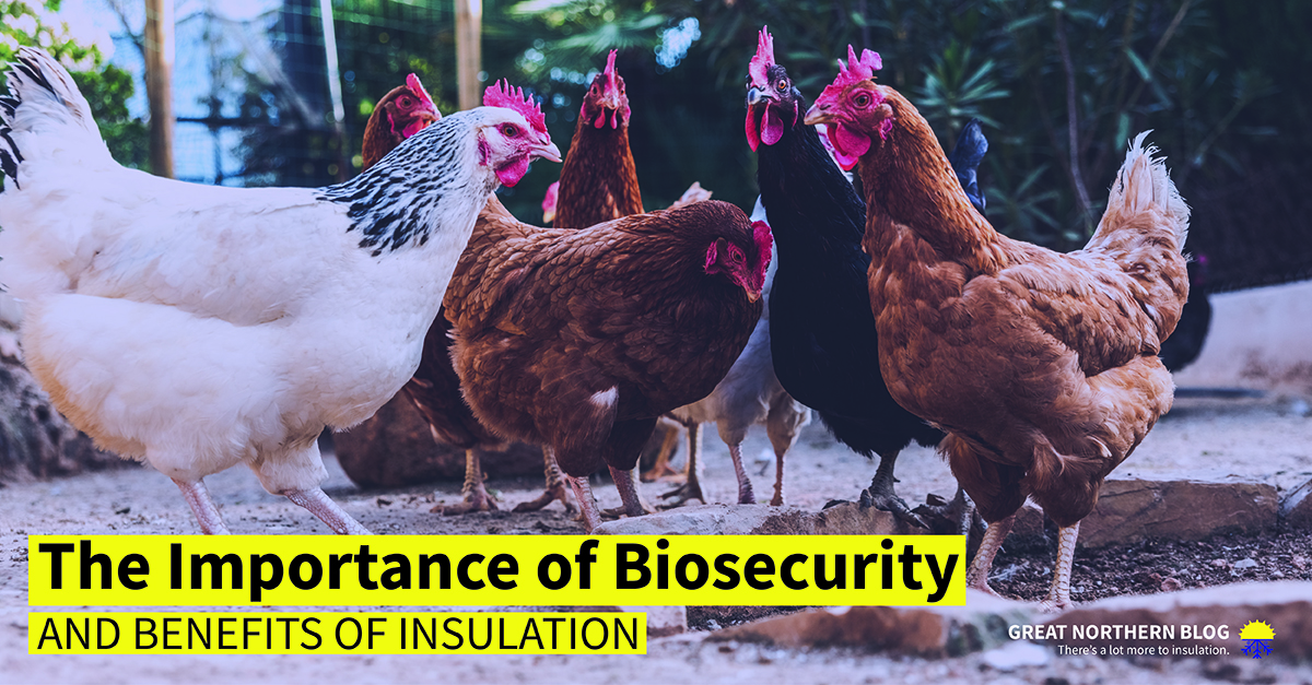 Importance of biosecurity and the benefits of insulation