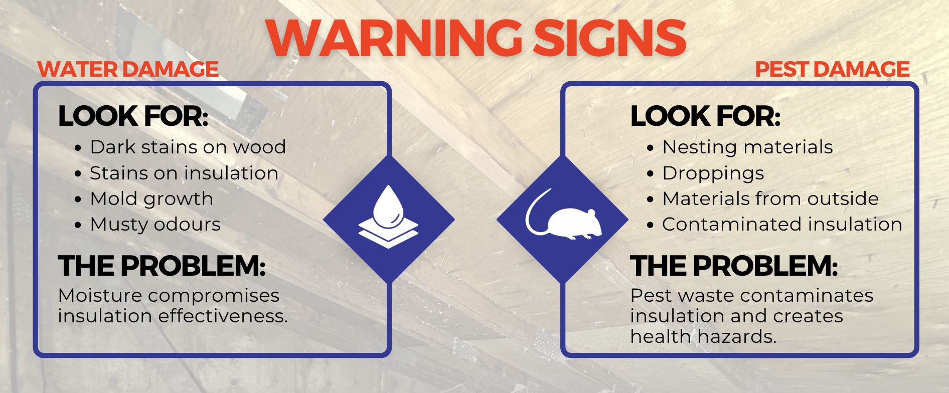 Infographic showcasing warning signs you may find in your attic: water damage and pest damage, such as droppings, can be signs that your existing insulation should be removed