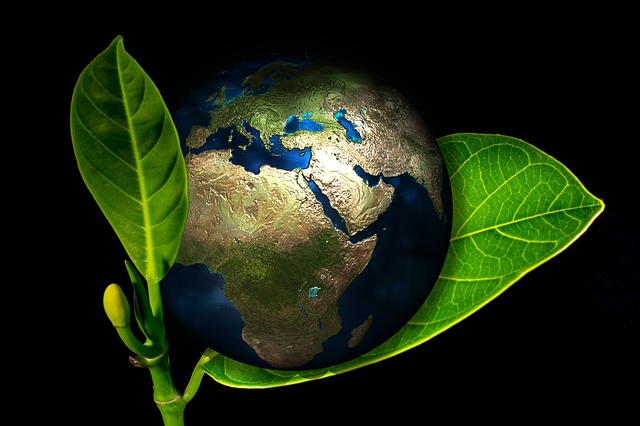 save earth net-zero renewable energy