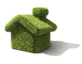 Near Net Zero Carbon Home Incentives - green energy home
